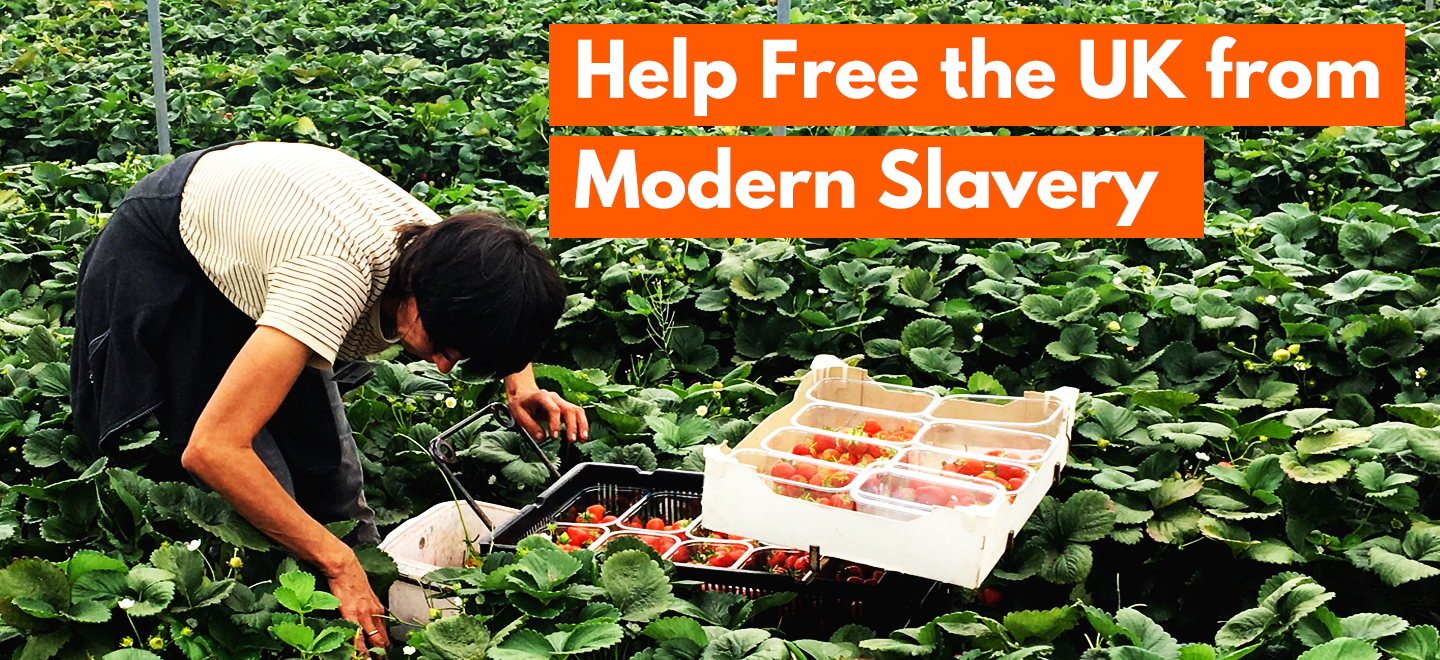 Modern slavery is a serious crime that violates human rights